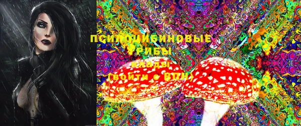 прущие крисы Алексеевка